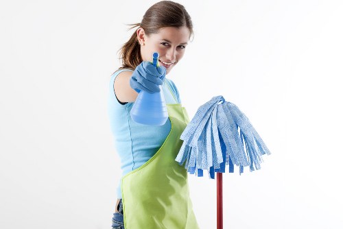 Professional steam carpet cleaning for a Hollandpark home interior