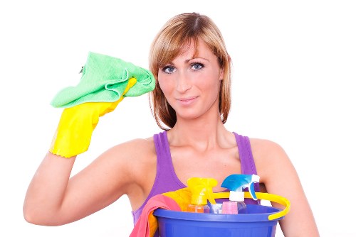 Professional pet stain and odour cleaning in a Hollandpark home