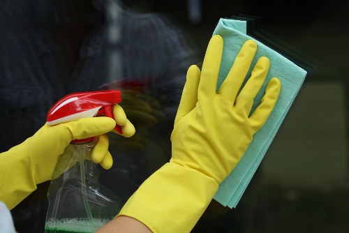 Technician assessing a stain on a carpet in a Hollandpark home