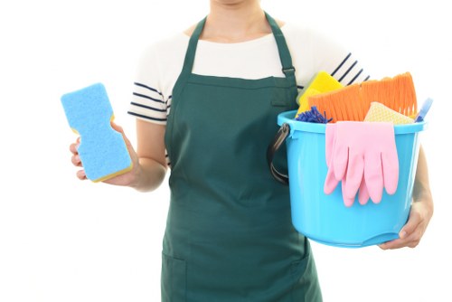 Professional rug cleaning for Hollandpark homes and apartments