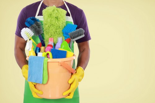 Professional carpet cleaning service for a Hollandpark home interior