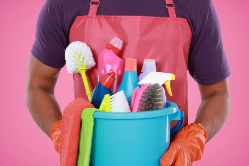 Professional window cleaning for Hollandpark homes