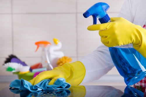 Reporting channels and monitoring measures for Carpet Cleaners Hollandpark