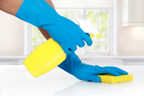 Blocked gutter inspection and cleaning on a Hollandpark property