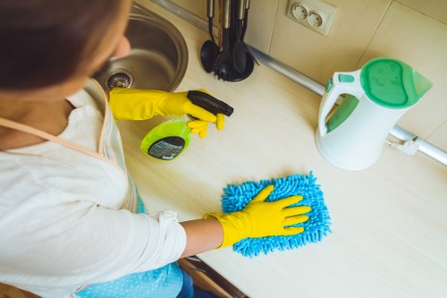 Professional sofa cleaning in a Hollandpark living room