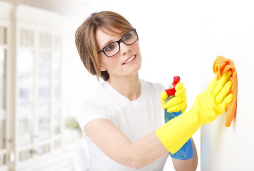 Local short-let cleaner performing bathroom sanitising in Hollandpark