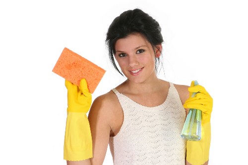 Deep cleaning service for a Hollandpark property with detailed kitchen and living area care