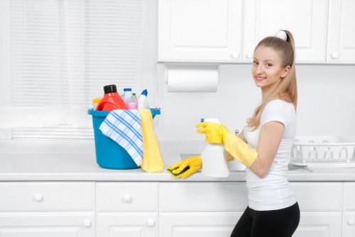 Example of carpet cleaning pricing for an apartment and family home in Hollandpark