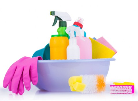 Local domestic cleaner working in a Hollandpark kitchen and living area