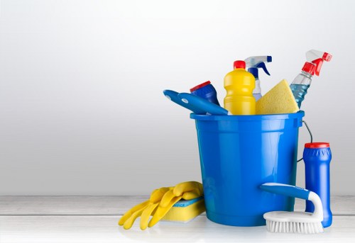 House cleaning support for a residential home near Hollandpark