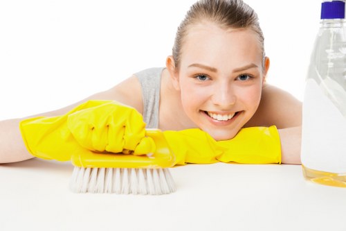Local cleaner removing pet odour from a living room carpet