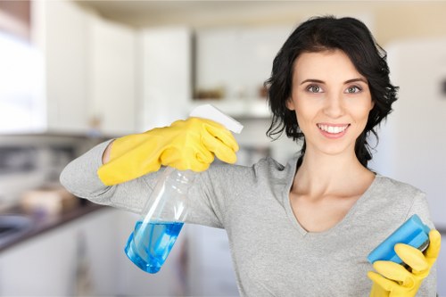 Professional oven cleaning service for a Hollandpark home kitchen