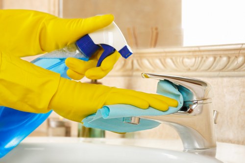 Specialist cleaning for stone and tile flooring in Hollandpark
