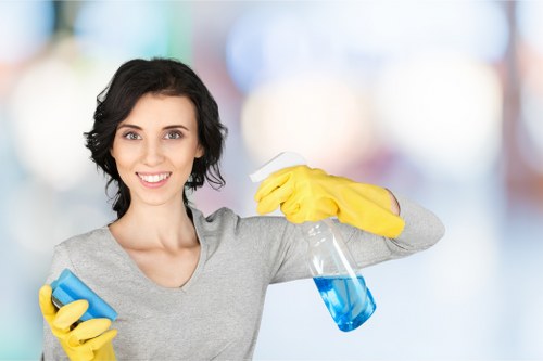 Residential move-in cleaning for period property access in Holland Park