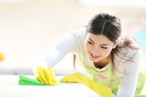 Local mattress cleaning service in a Hollandpark apartment