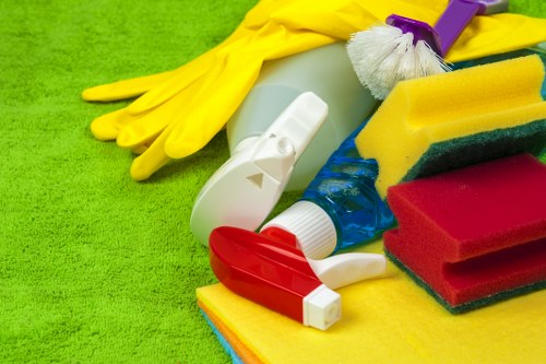 Local specialist cleaning a delicate rug in Hollandpark