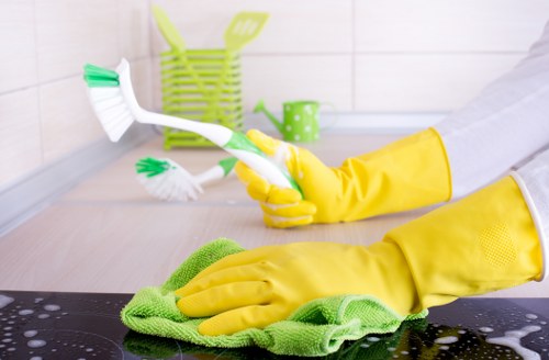 Technician cleaning a sofa in a Hollandpark apartment