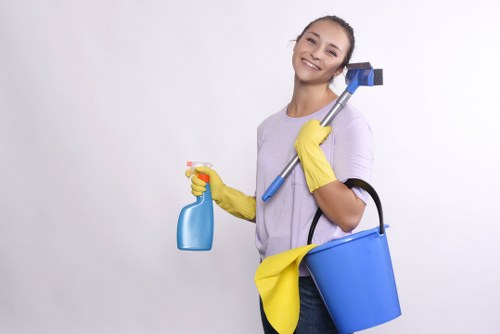 Local cleaning team providing scheduled upkeep in Hollandpark