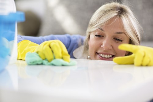 Local oven cleaner working in a Hollandpark flat kitchen