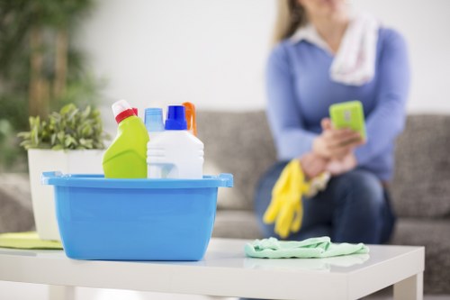 Regular domestic cleaner working in a Hollandpark apartment