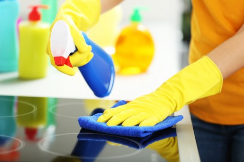 Local cleaners preparing a Hollandpark apartment for move-out inspection