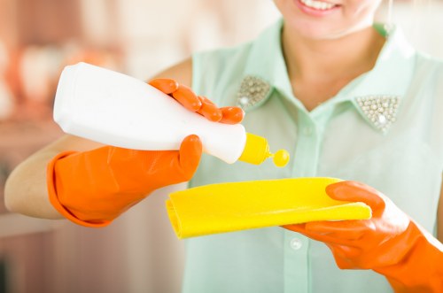 Flexible domestic cleaning arrangement for households in Hollandpark