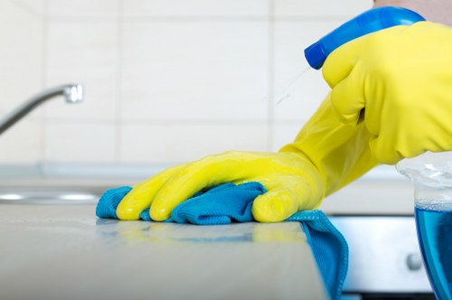 Cleaner washing glass on a commercial property in Hollandpark