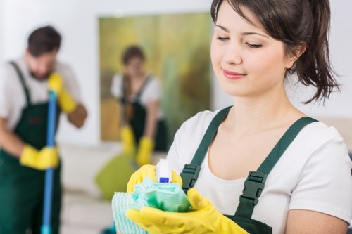Professional deep cleaning in Hollandpark focusing on bathrooms, surfaces, and hard-to-reach areas