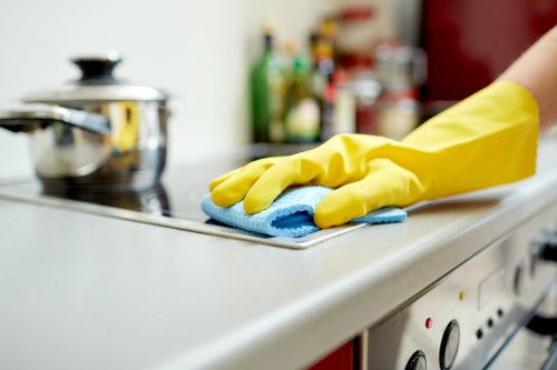 Cleaner maintaining a period property in Hollandpark with attention to detail
