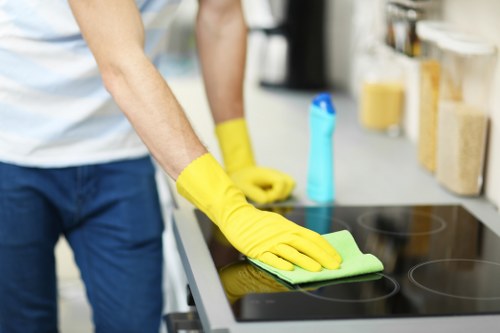 Specialist cleaning for curtains in a Hollandpark apartment