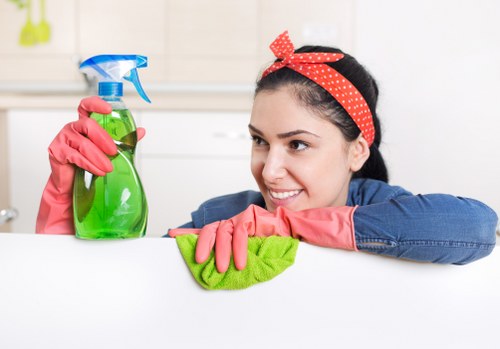 Professional cleaning supplies prepared for a Hollandpark business premises
