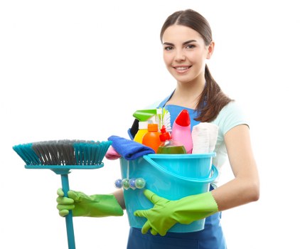 Window cleaning service for flats and apartment buildings in Hollandpark