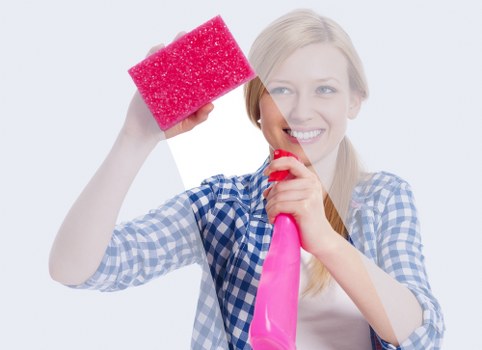 Upholstery cleaning service for a fabric sofa in Hollandpark