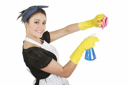 Internal quality review notes for a carpet cleaning complaint
