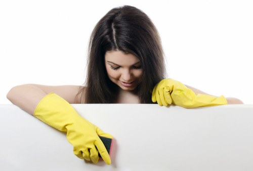 Local window cleaner handling upper-floor windows in Hollandpark
