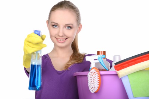 Kitchen and bathroom routine cleaning in a Hollandpark apartment