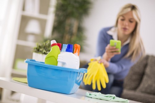 Routine gutter cleaning service for a Hollandpark commercial building