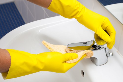 Load-based carpet cleaning estimate for a larger Hollandpark house