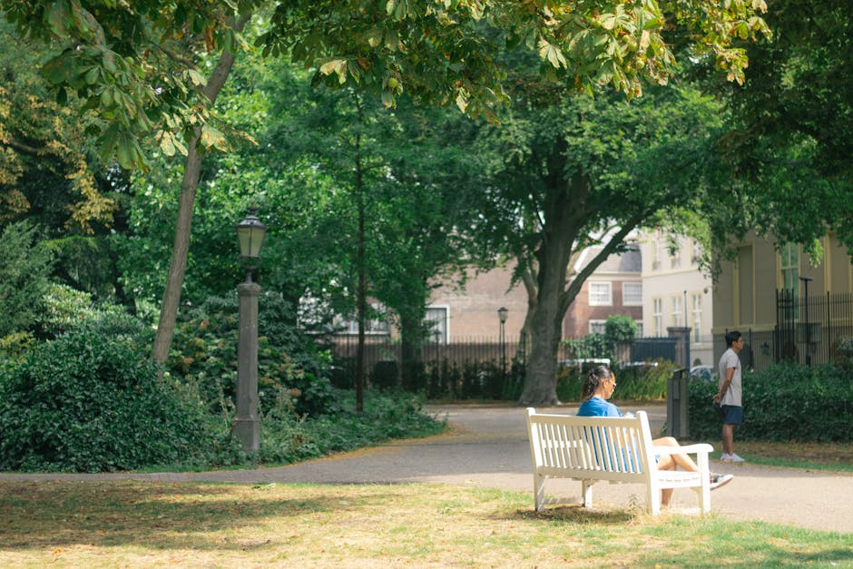 The image depicts the entrance to Holland Park Mews, featuring a large stone archway with the inscription 'HOLLAND PARK MEWS' engraved on it. The arch is constructed of brownish stone bricks with a decorative balustrade along the top. The narrow street beyond the arch is paved with cobblestones and lined with residential buildings and lush greenery. The scene is illuminated by natural daylight, with fallen leaves scattered along the edges of the street, creating a calm and picturesque atmosphere. This setting exemplifies a typical quiet, well-maintained lane in Holland Park, showcasing classic architectural features and tranquil urban environment. The image is relevant to the cleaning service offered by Carpet Cleaners Holland Park, emphasizing community and local charm, alongside the importance of maintaining clean and hygienic residential and commercial spaces.